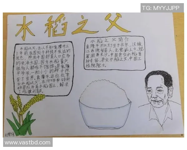 张帆的成长之路：从平凡少年到职场精英的奋斗故事与人生感悟